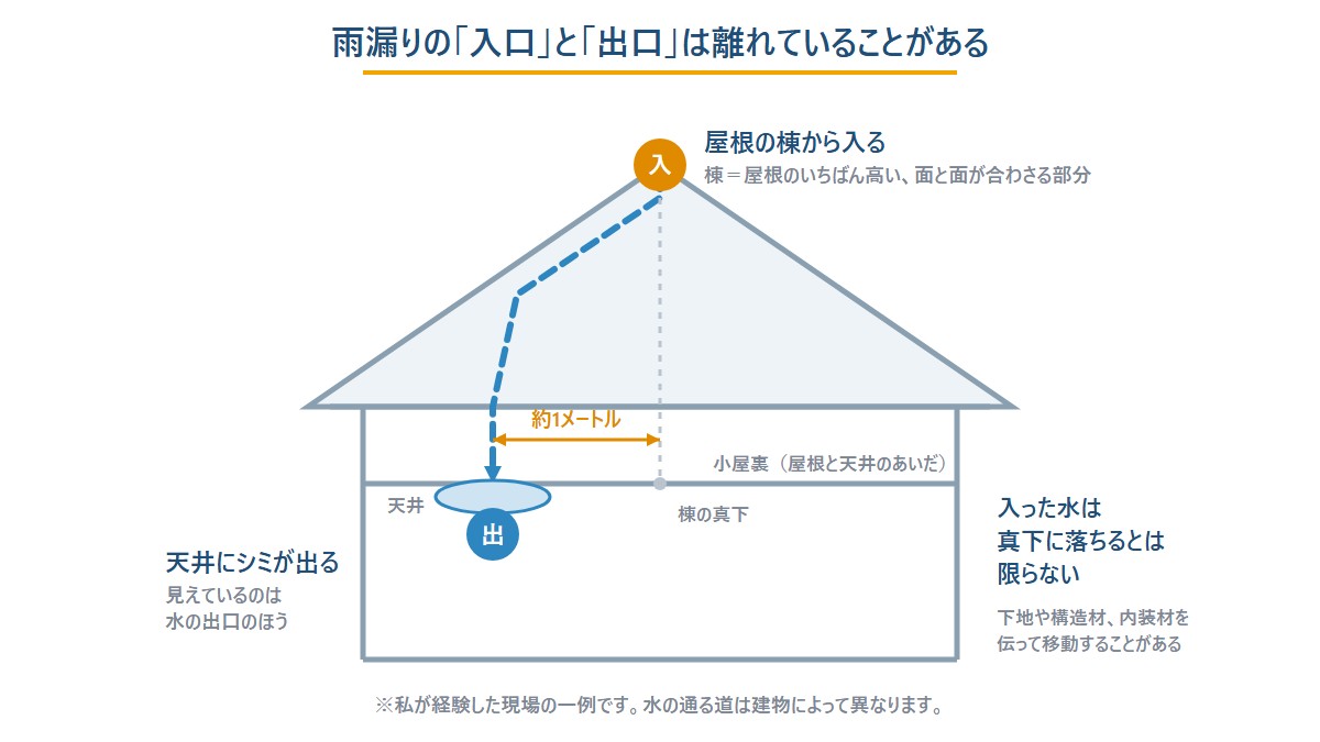雨漏りの入口と出口。屋根の棟から入った水が小屋裏を伝い、棟の真下から約1メートル離れた天井にシミとして現れる断面図
